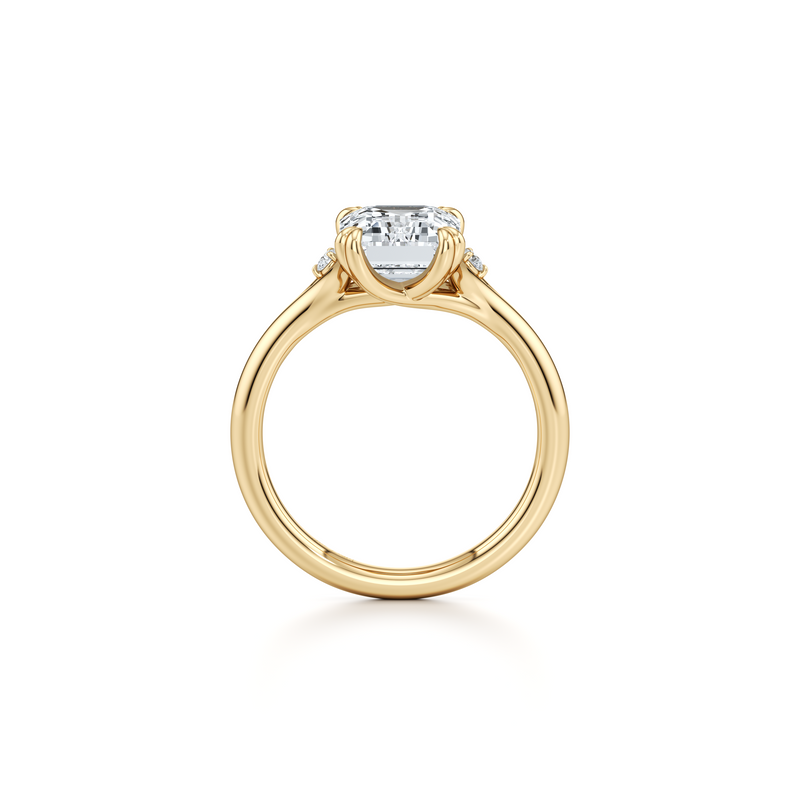 Jane Round Three Stone Lab Diamond Engagement Ring image 49