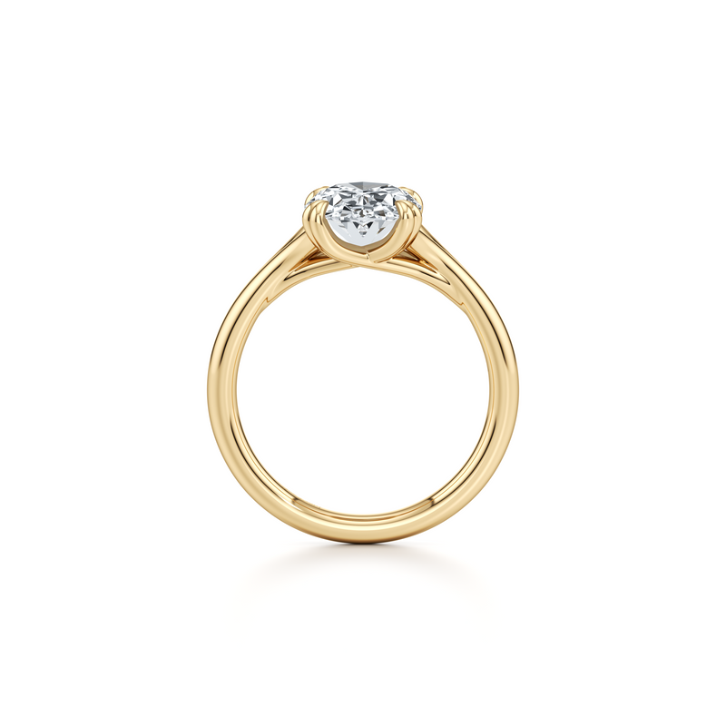 Jane Solitaire Lab Diamond Engagement Ring image 28