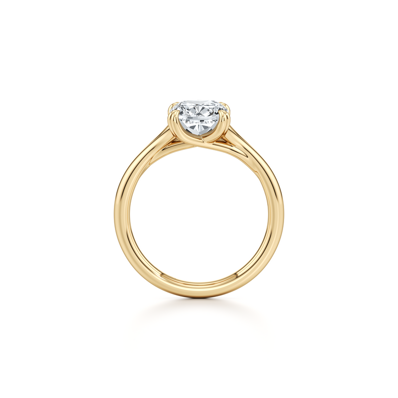 Jane Solitaire Lab Diamond Engagement Ring image 48