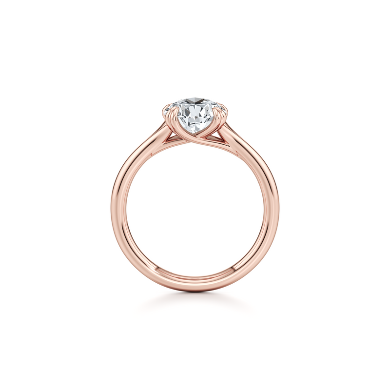 Jane Solitaire Lab Diamond Engagement Ring image 113