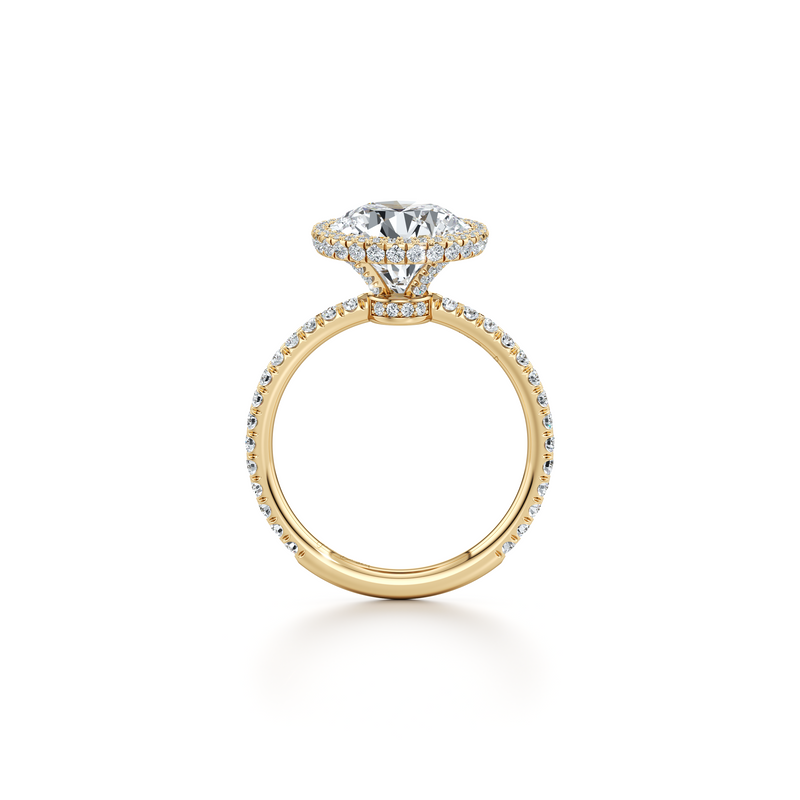 Alyssa Seamless Halo® Lab Diamond Engagement Ring image 8