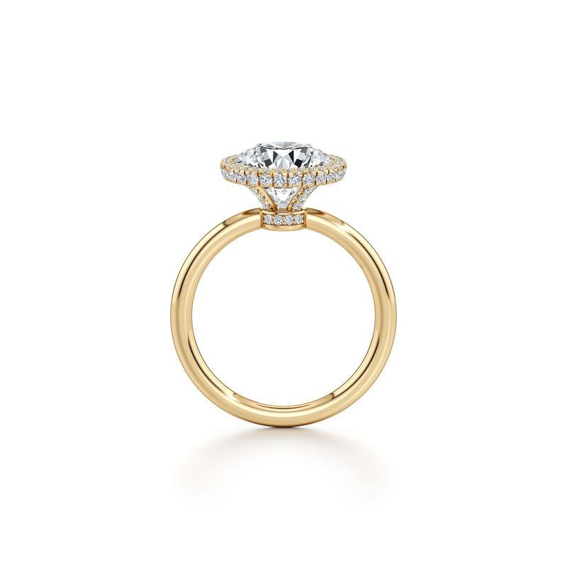 Alyssa Seamless Halo® Lab Diamond Engagement Ring image 9