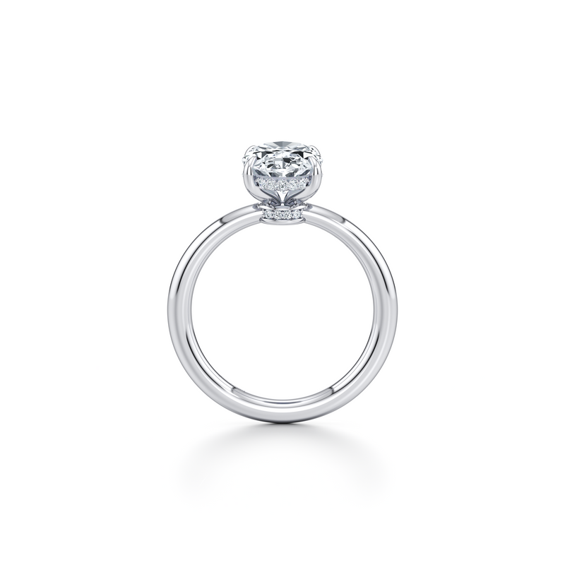 Audrey Solitaire Lab Diamond Engagement Ring image 52