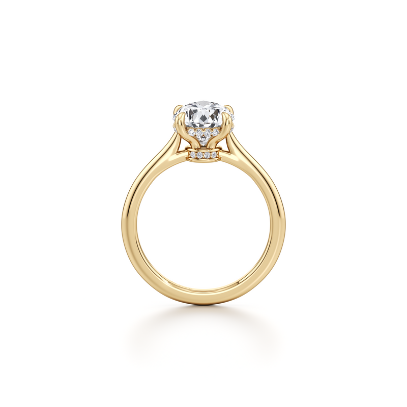 Chelsea Solitaire Lab Diamond Engagement Ring image 168