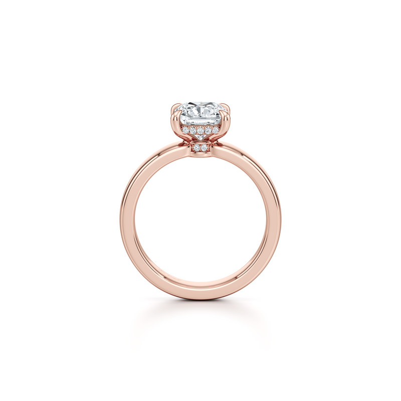 Hayden Solitaire Lab Diamond Engagement Ring image 44