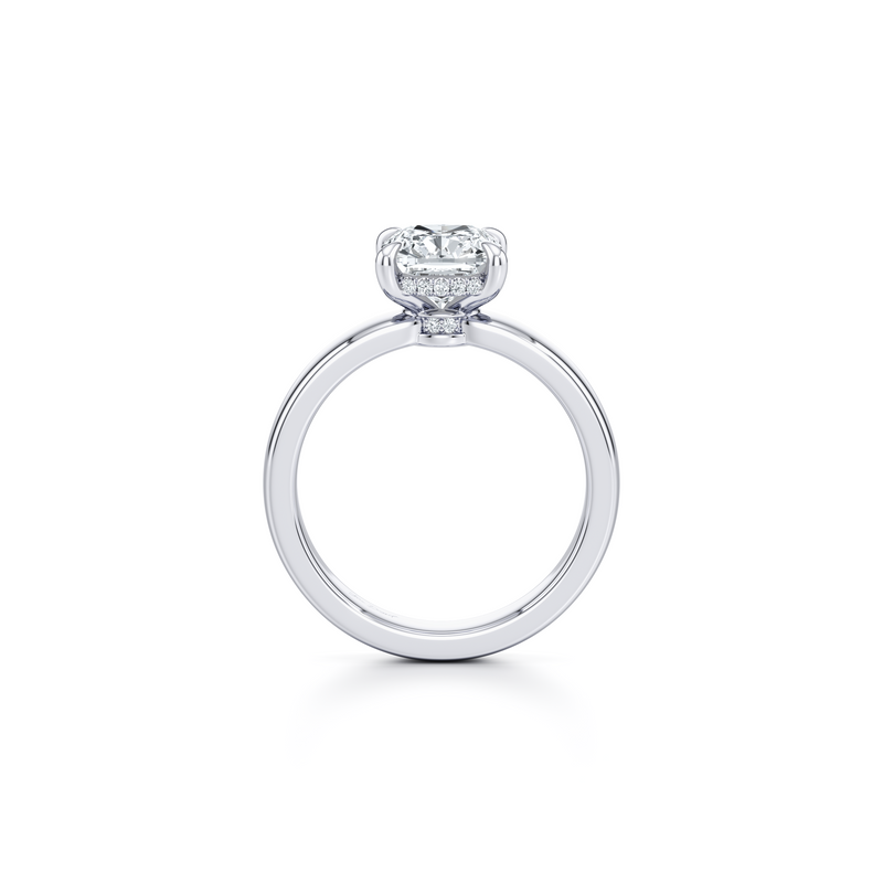 Hayden Solitaire Lab Diamond Engagement Ring image 36
