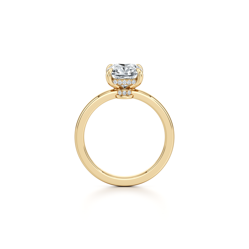 Hayden Solitaire Lab Diamond Engagement Ring image 40