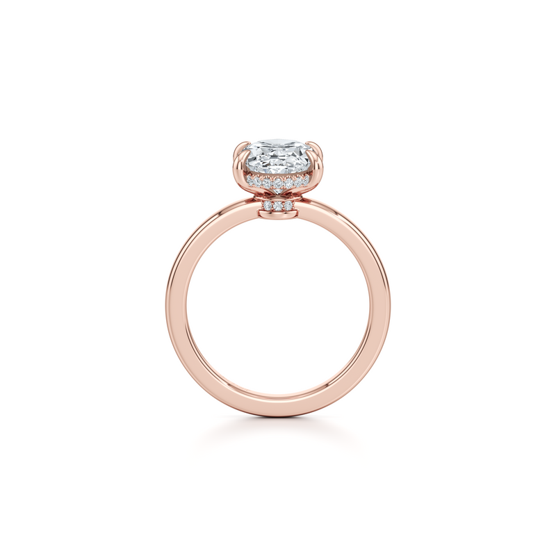 Hayden Solitaire Lab Diamond Engagement Ring image 28