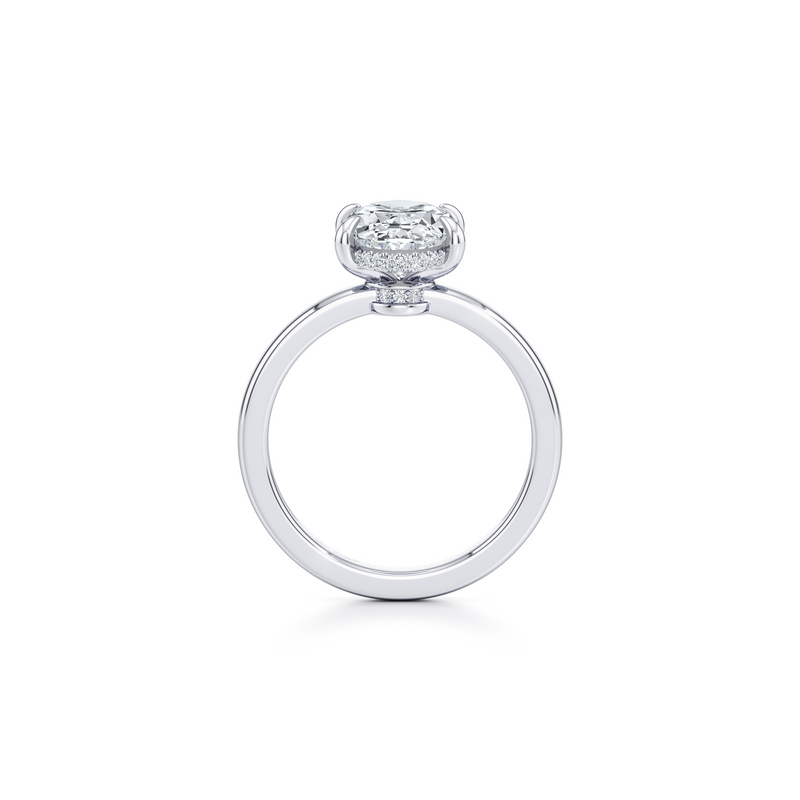 Hayden Solitaire Lab Diamond Engagement Ring image 20