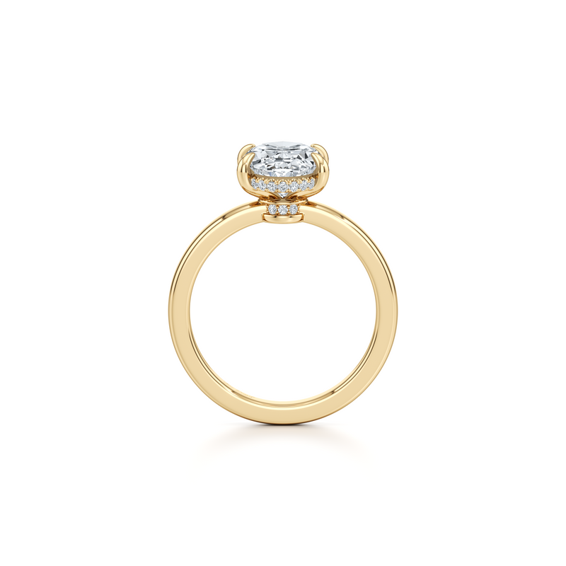 Hayden Solitaire Lab Diamond Engagement Ring image 24