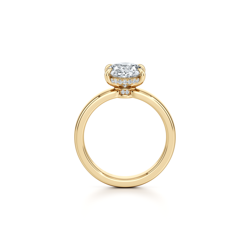 Hayden Solitaire Lab Diamond Engagement Ring image 24