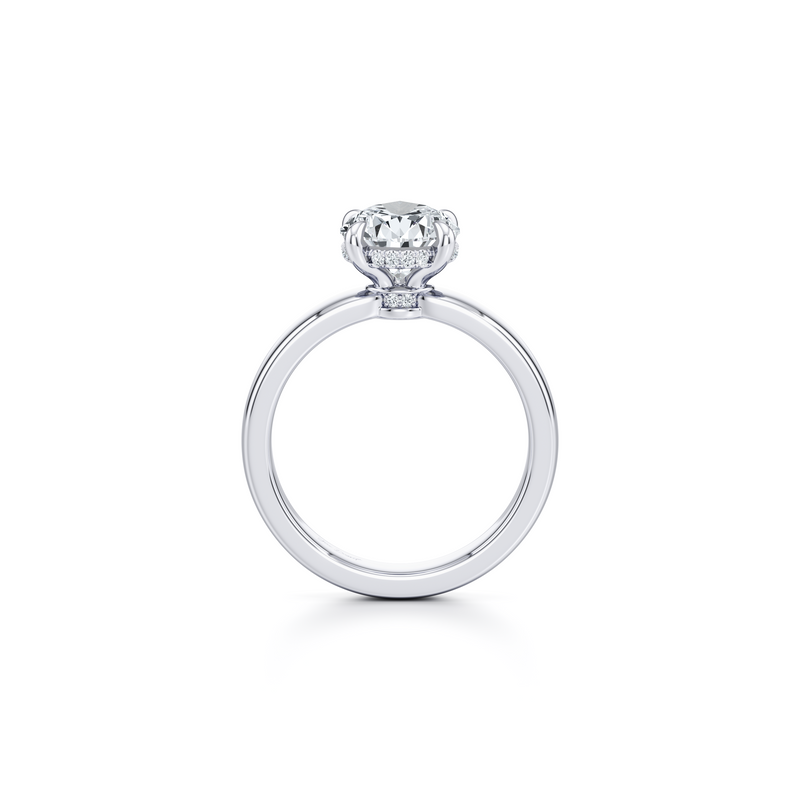 Hayden Solitaire Lab Diamond Engagement Ring image 84