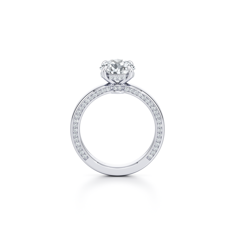 Hayden Solitaire Lab Diamond Engagement Ring image 84