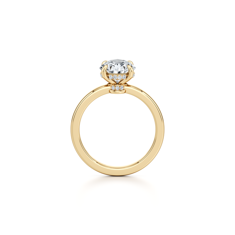Hayden Solitaire Lab Diamond Engagement Ring image 88
