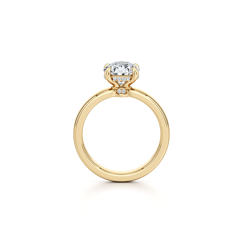 Hayden Solitaire Lab Diamond Engagement Ring image 88