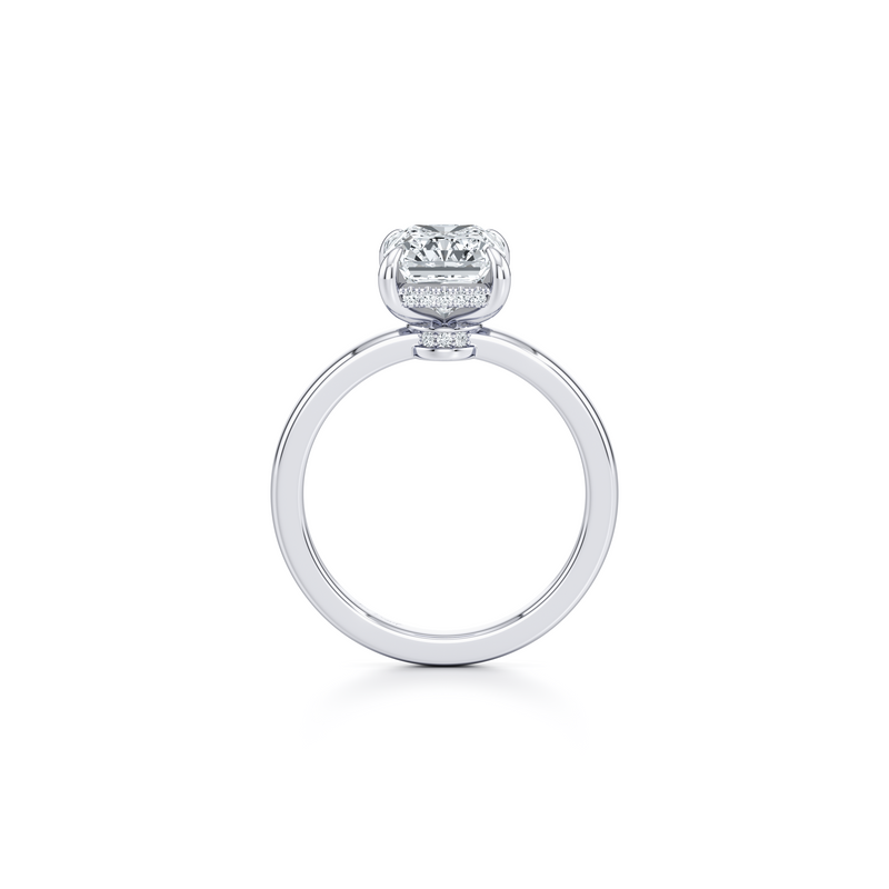 Hayden Solitaire Lab Diamond Engagement Ring image 68