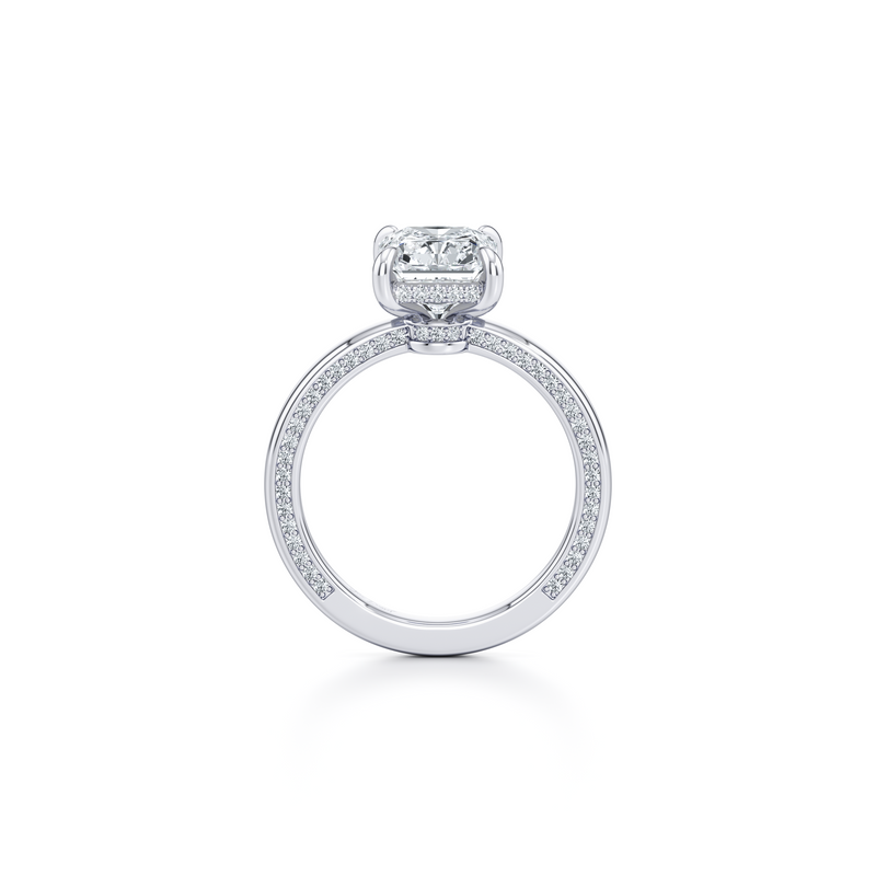 Hayden Solitaire Lab Diamond Engagement Ring image 68