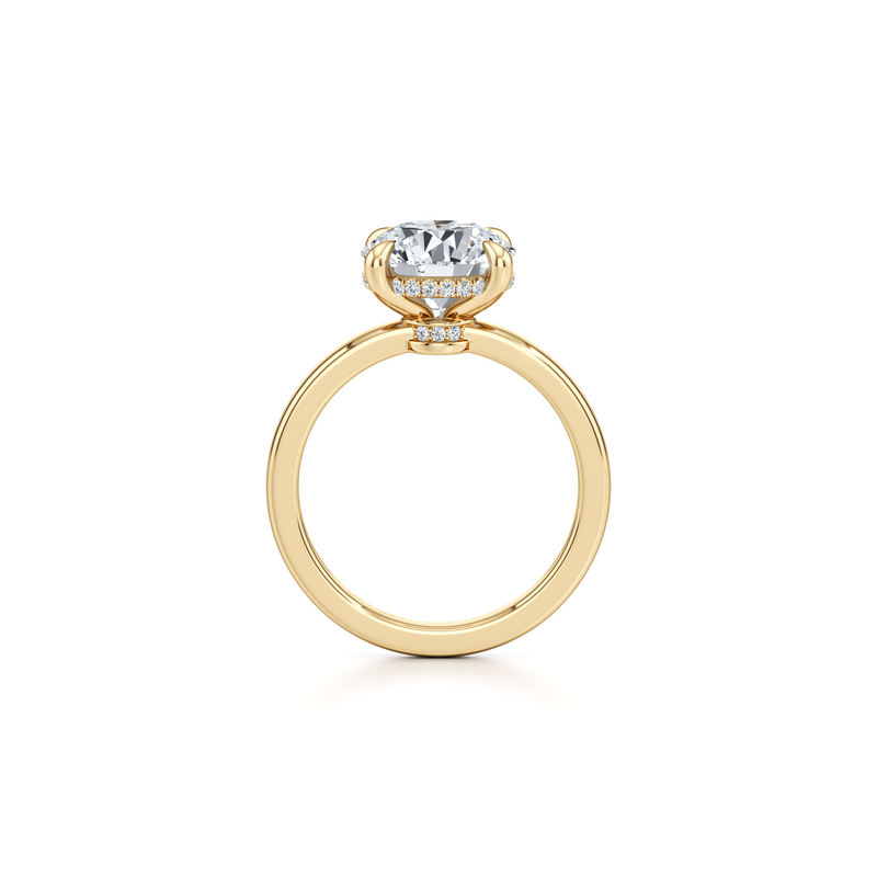 Hayden Solitaire Lab Diamond Engagement Ring image 8