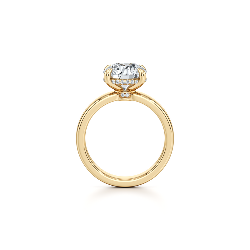 Hayden Solitaire Lab Diamond Engagement Ring image 8